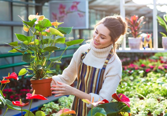 Dịch vụ chăm sóc sân vườn